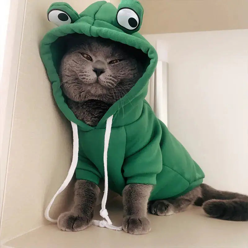 Disfraces lindos y acogedores para mascotas