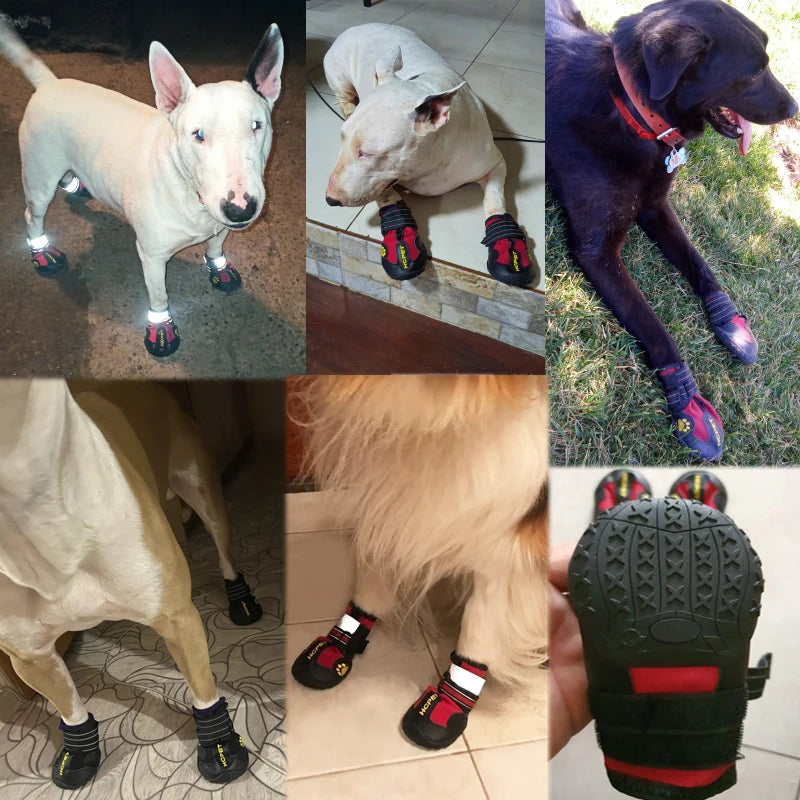 4 unids/set zapatos para perros