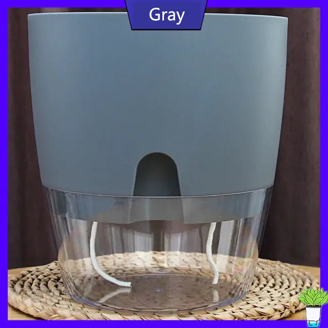 Transparent Self Watering Flowerpot