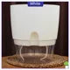 Transparent Self Watering Flowerpot