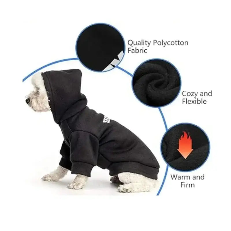 Alta costura canina elegante