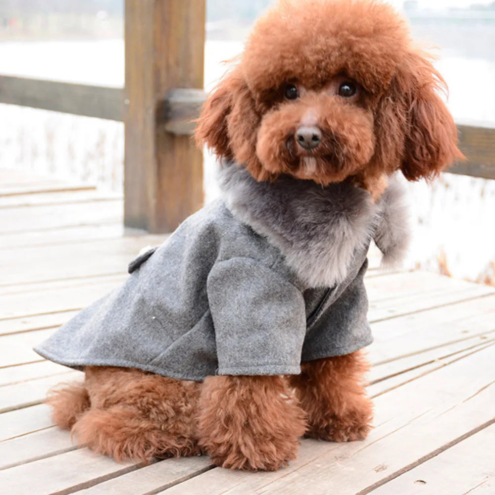 Chaqueta con cuello de piel para mascotas