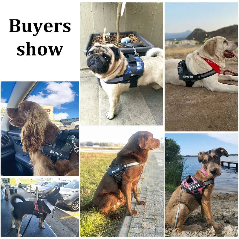 Personalized Reflective No-Pull Harness
