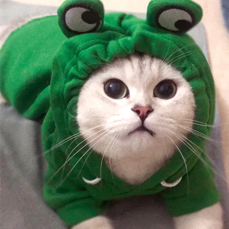 Disfraces lindos y acogedores para mascotas