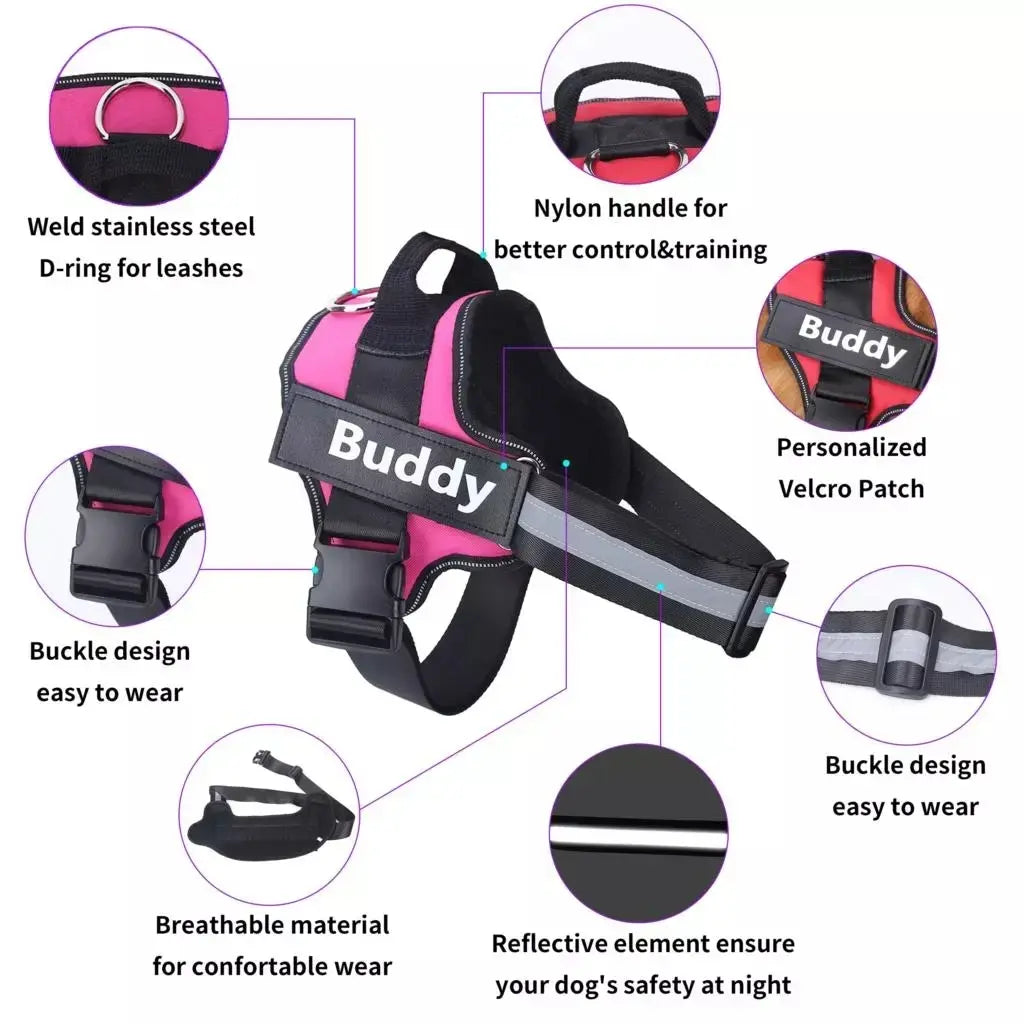 Personalized Reflective No-Pull Harness