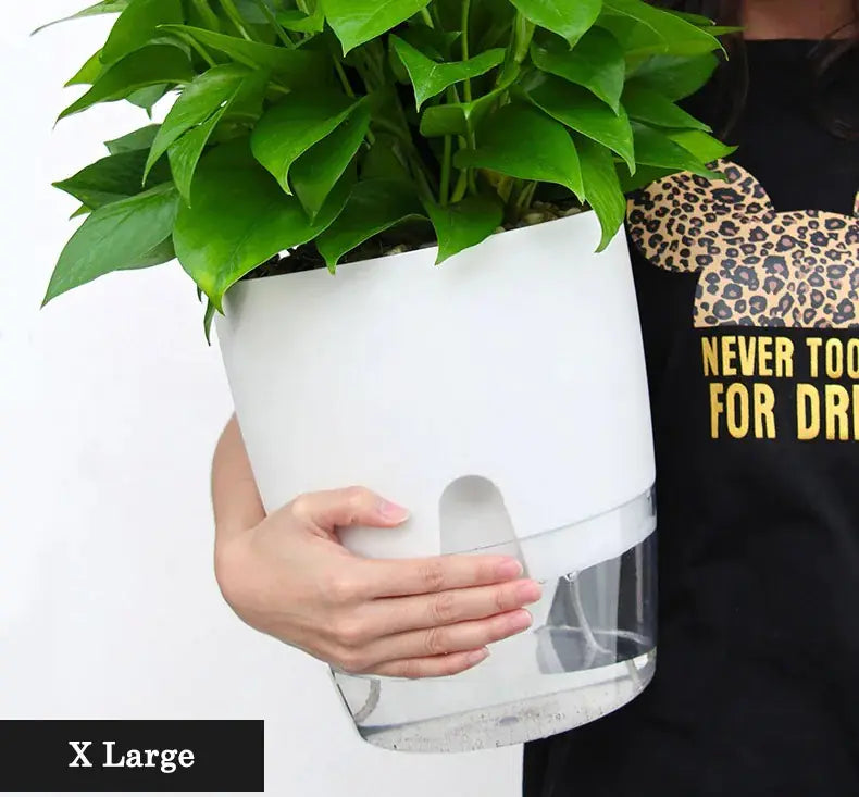 Transparent Self Watering Flowerpot