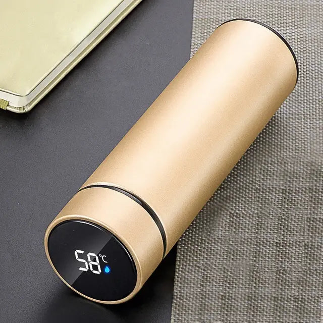 Digital Temperature Display Water Bottle