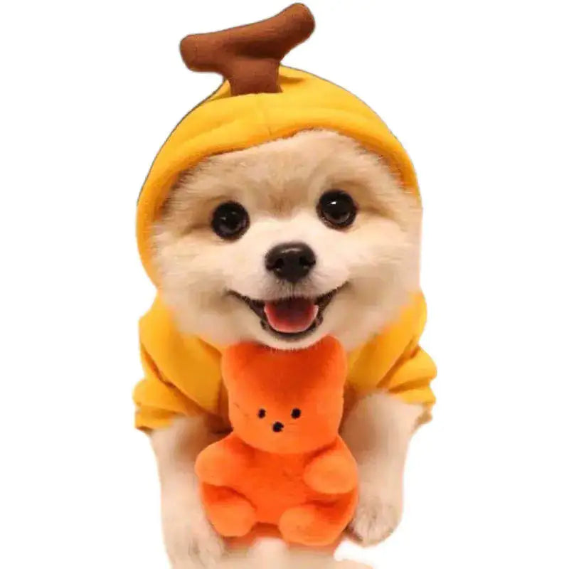 Disfraces lindos y acogedores para mascotas